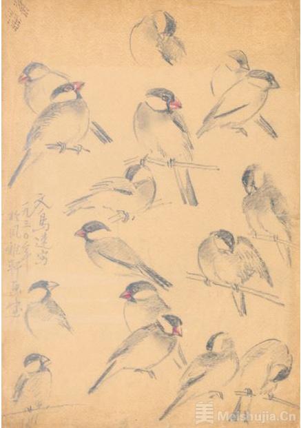 (4/6《文鸟百态,素描淡彩,1930年